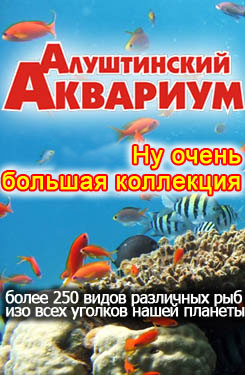 Алуштинский аквариум